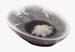 水墨白菊花花茶免抠