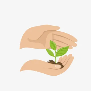 手绘种子发芽成长免抠