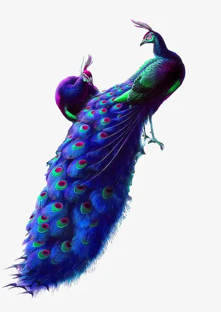 蓝色清新孔雀装饰图案免抠