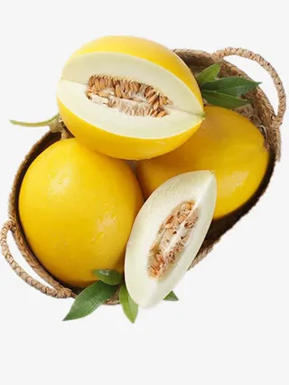 海南哈密瓜免抠