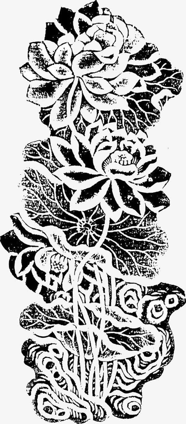 黑白手绘花卉素材免抠
