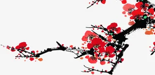 梅花中医名人宣传免抠