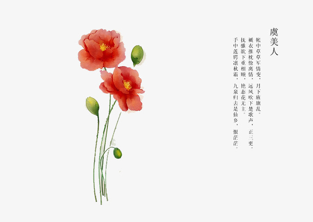 手绘花卉免抠