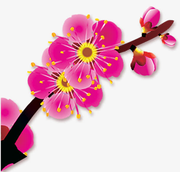 梅花免抠