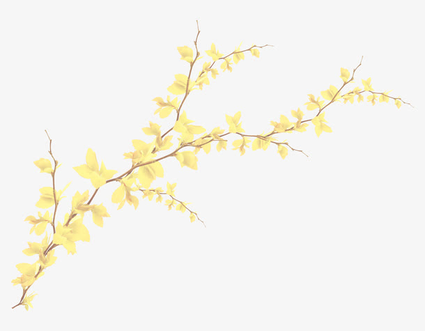 树枝上的花免抠