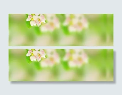 淘宝广告轮播banner 淘宝广告轮播banner
