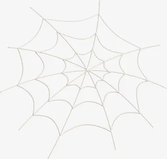 蜘蛛蜘蛛网矢量图免抠