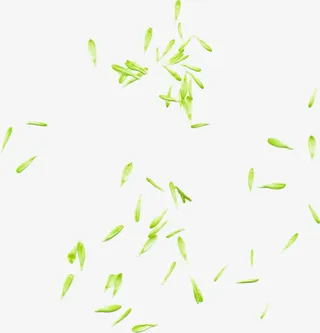 漂浮绿叶免抠素材免抠