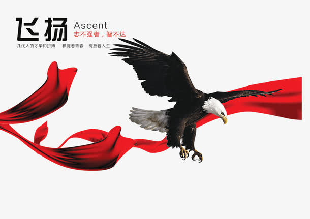 老鹰飘带免抠