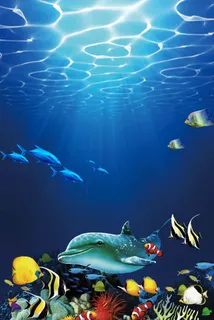 蓝色海洋世界宣传推广活动高清