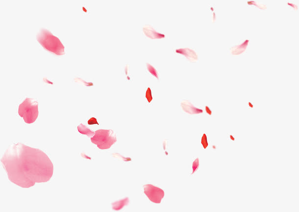 飞舞花瓣背景免抠
