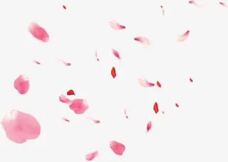 飞舞花瓣背景免抠