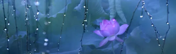 古典高雅免抠