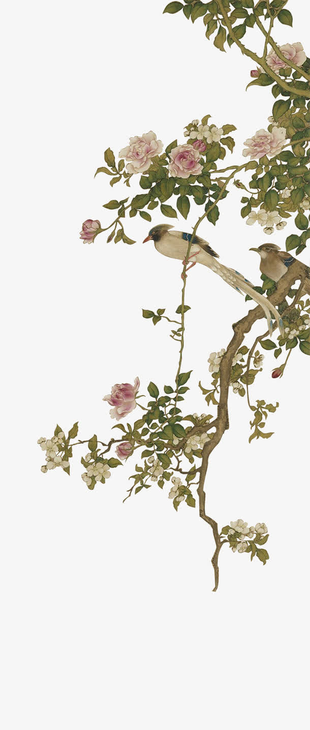 工笔花鸟免抠