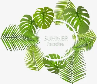 绿色芭蕉叶边框免抠