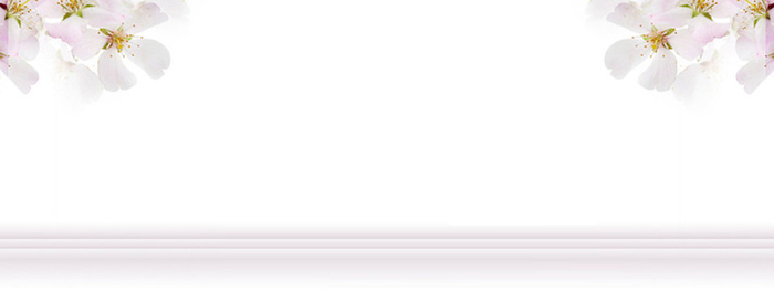 简洁花朵背景高清