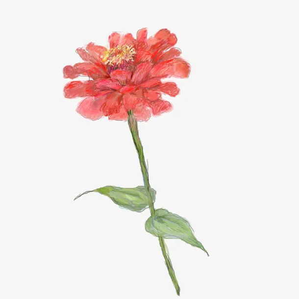 红色花束免抠