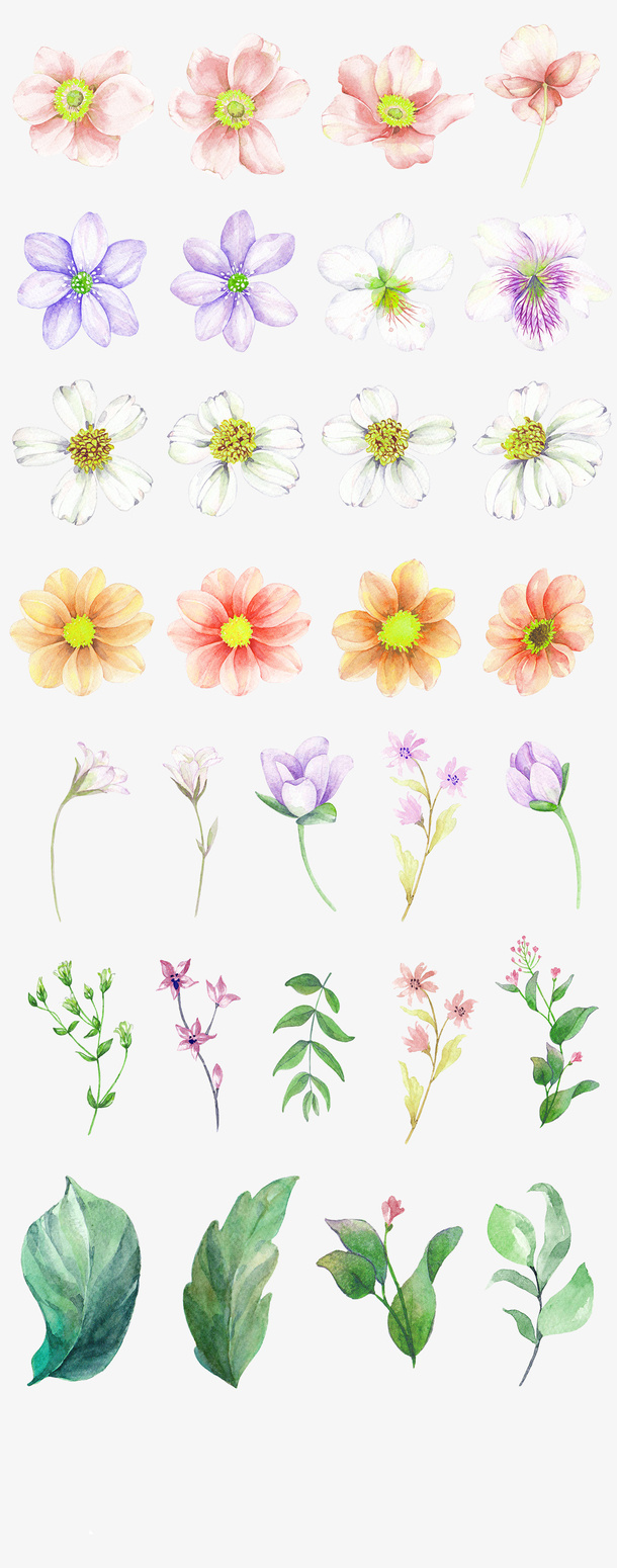 白色梦幻花园鲜花装饰图案免抠