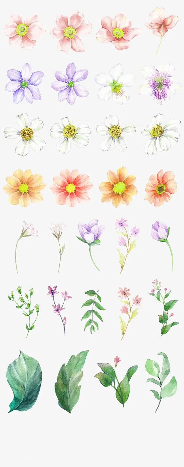 白色梦幻花园鲜花装饰图案免抠