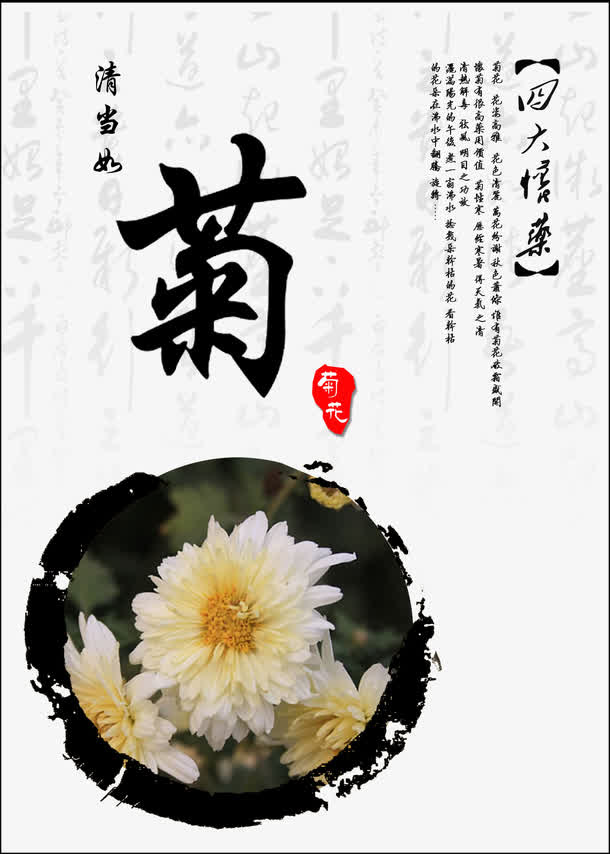 菊免抠