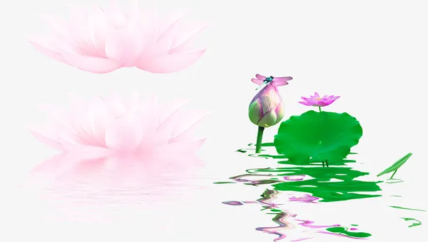 绿色清新荷花装饰图案免抠