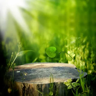 绿色护肤品清爽聚划算直通车主图图片高清