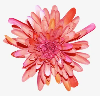 创意合成红色的花卉植物开放的花朵免抠