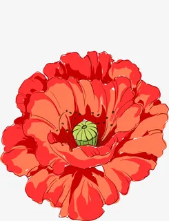春暖花开手绘杜鹃花免抠 春暖花开手绘杜鹃花免抠