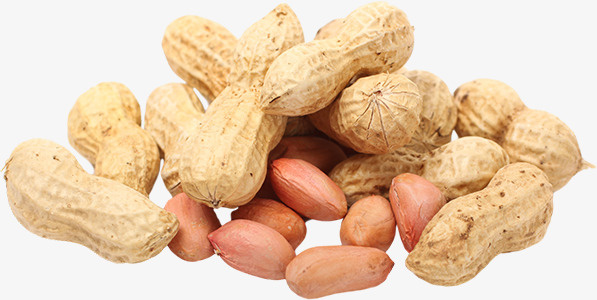 脆花生,花生仁,黄色，豆类免抠