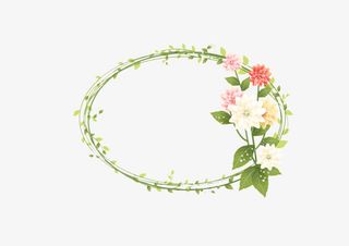 植物花卉边框免抠