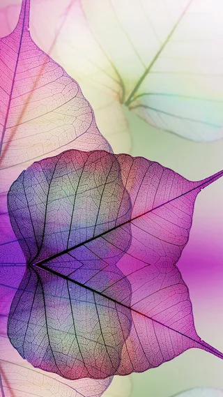 叶片脉络H5背景高清