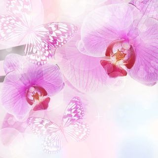 梦幻花朵蝴蝶背景