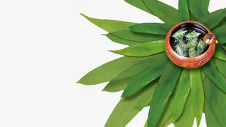 古意中国的端午免抠