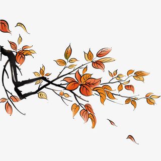 手绘黄色树叶树枝免抠