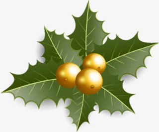 手绘圣诞节绿叶礼物装饰免抠