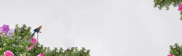 简约花鸟淘宝海报背景banner