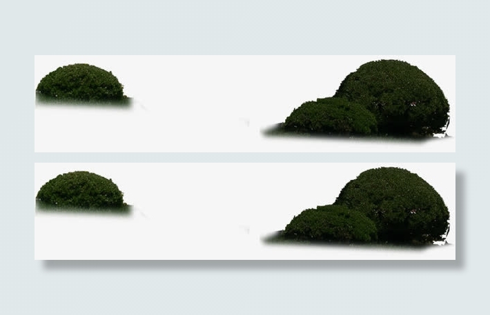 黑色树影夜晚美景免抠