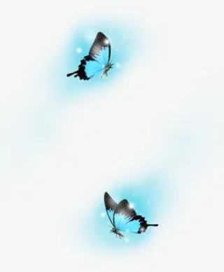 成双成对的蝴蝶png免扣素材免抠
