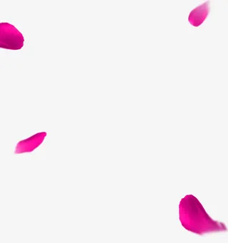 紫红色清新花瓣漂浮素材免抠