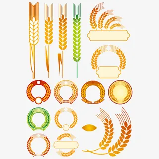 小麦免抠 小麦免抠