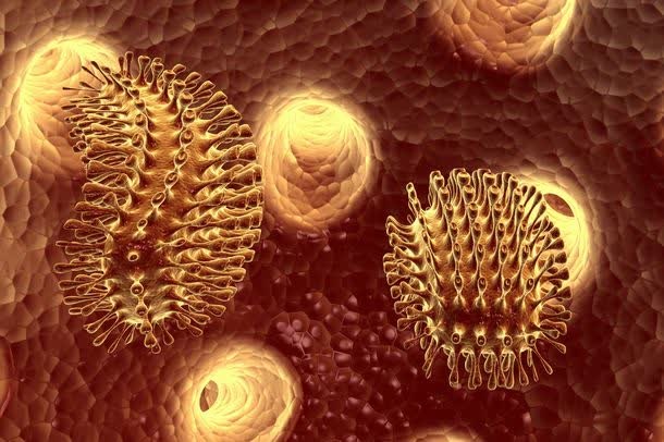 长条刺状病毒免抠