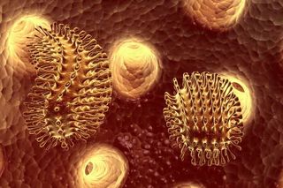 长条刺状病毒免抠