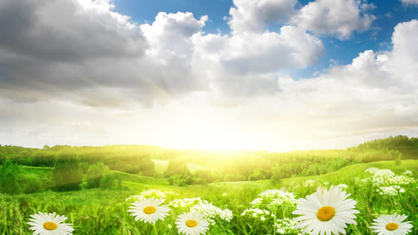 唯美春天春游阳光免抠