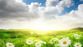 唯美春天春游阳光免抠