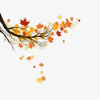 落叶免抠