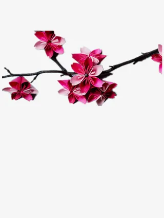 樱花的树枝免抠