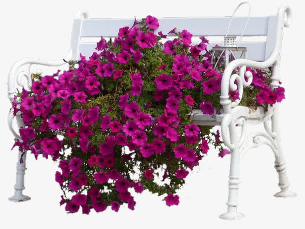 花朵边框边角装饰免抠