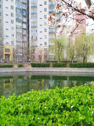 风景  春天 景物免抠背景摄影风景元素