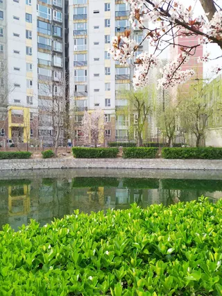 风景  春天 景物免抠背景摄影风景元素