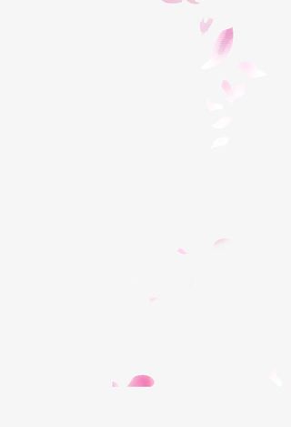 花瓣漂浮物免抠